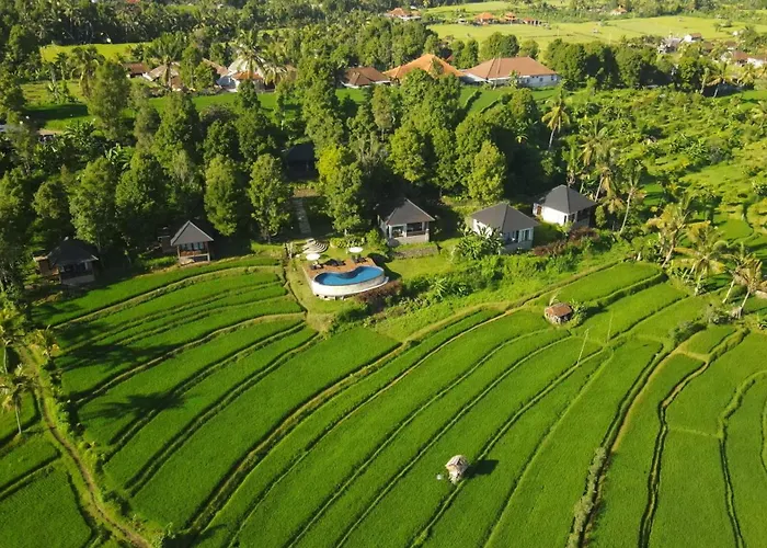 Mayura Bali 3* Munduk