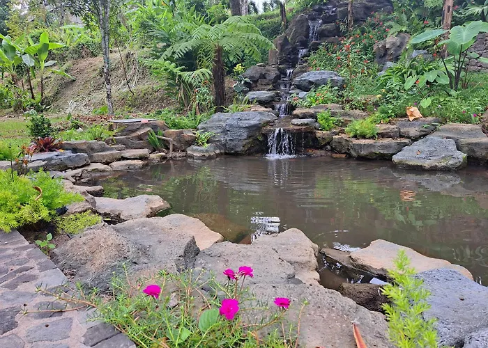 Mayura Bali Munduk
