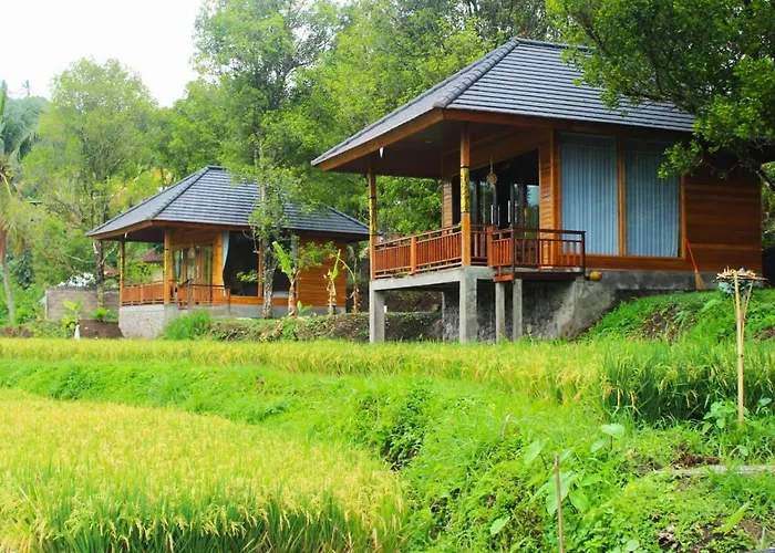 Mayura Bali 3* Munduk